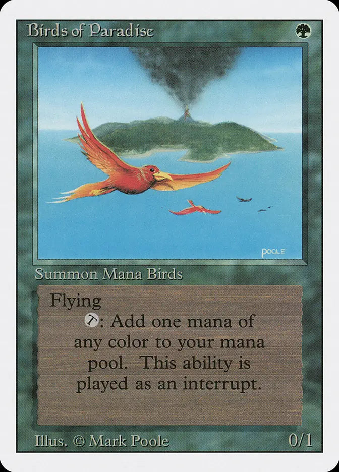 Birds of Paradise Revised