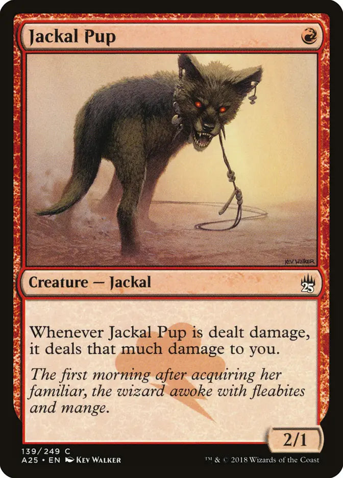 Jackal Pup Masters 25