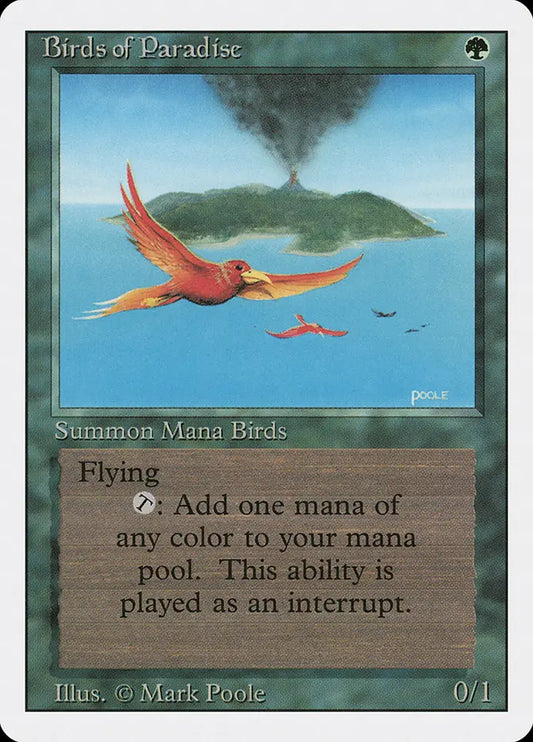 Birds of Paradise Revised