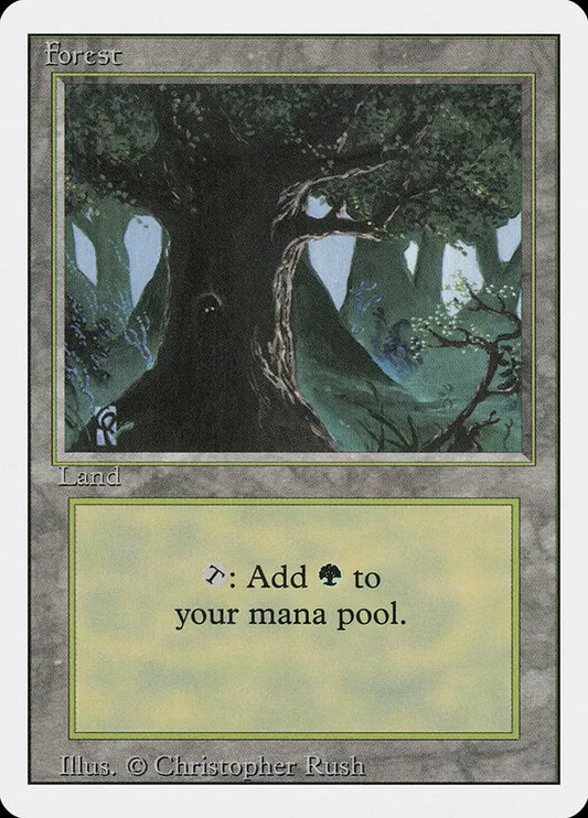 Forest (C) Revised