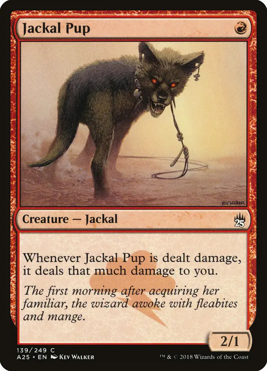 Jackal Pup Masters 25