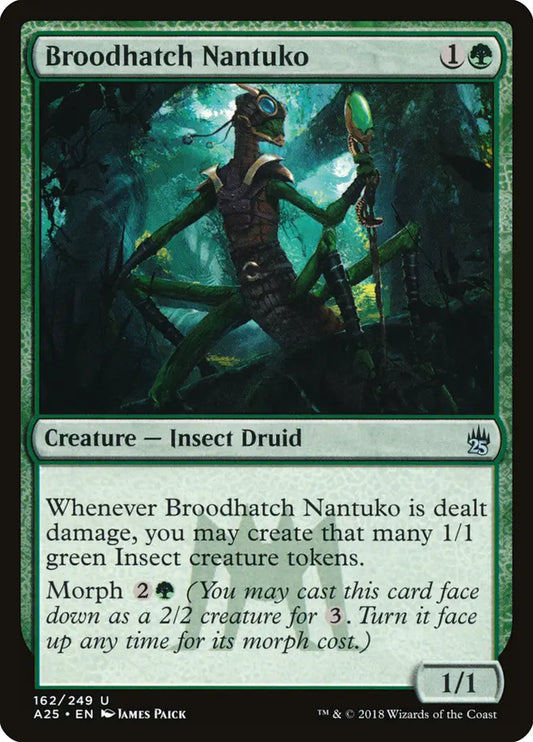 Broodhatch Nantuko Masters 25