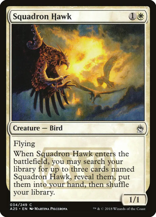 Squadron Hawk Masters 25