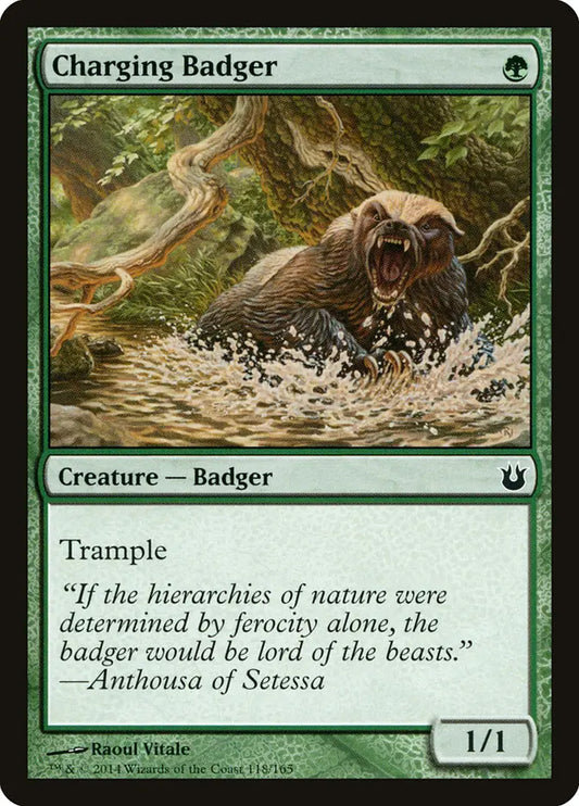 Charging Badger Born of the Gods