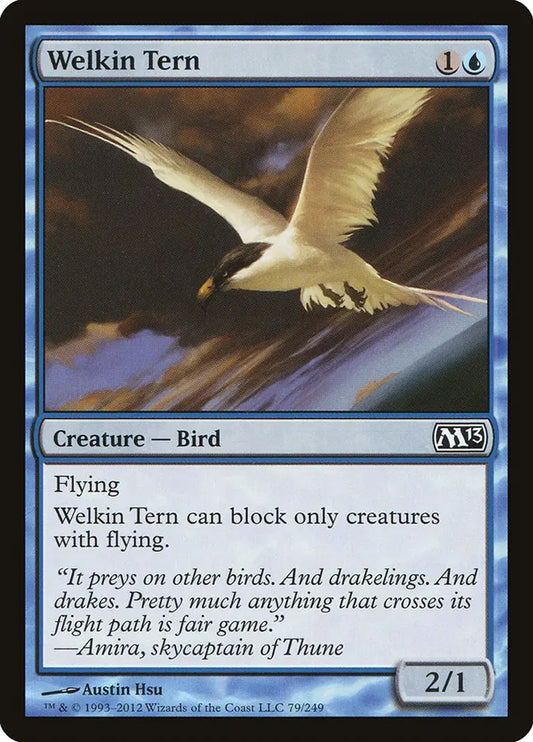 Welkin Tern Magic 2013
