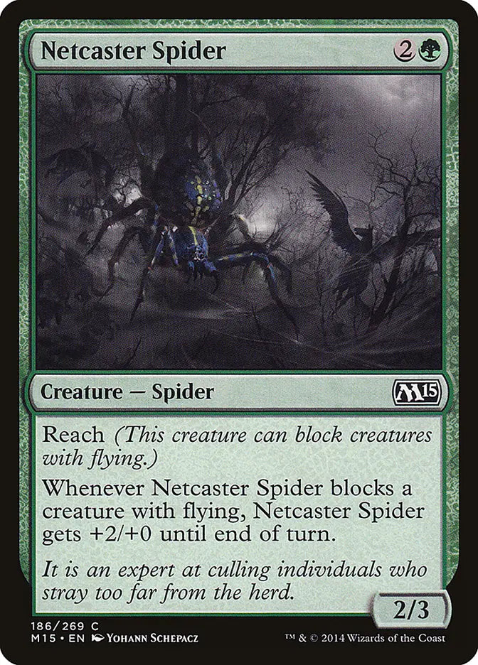 Netcaster Spider Magic 2015