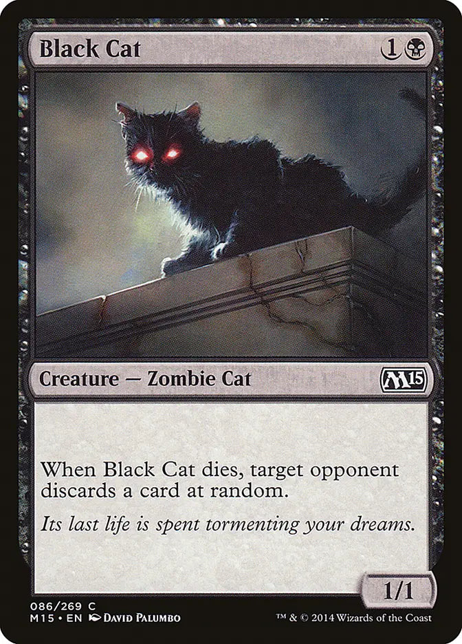 Black Cat Magic 2015
