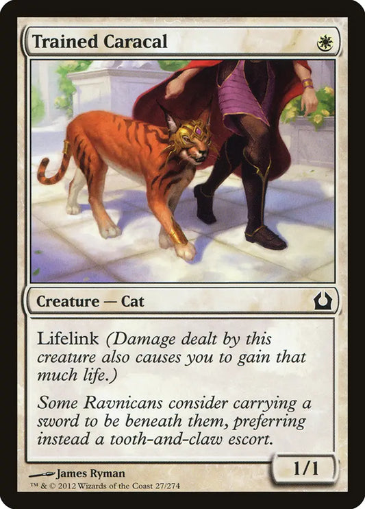 Trained Caracal Return to Ravnica